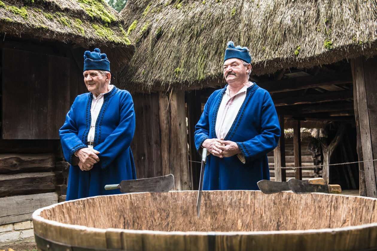  Obieraczki kapusty w Muzeum Wsi Lubelskiej (zdjęcie 41) - Autor: Tomasz Tylus