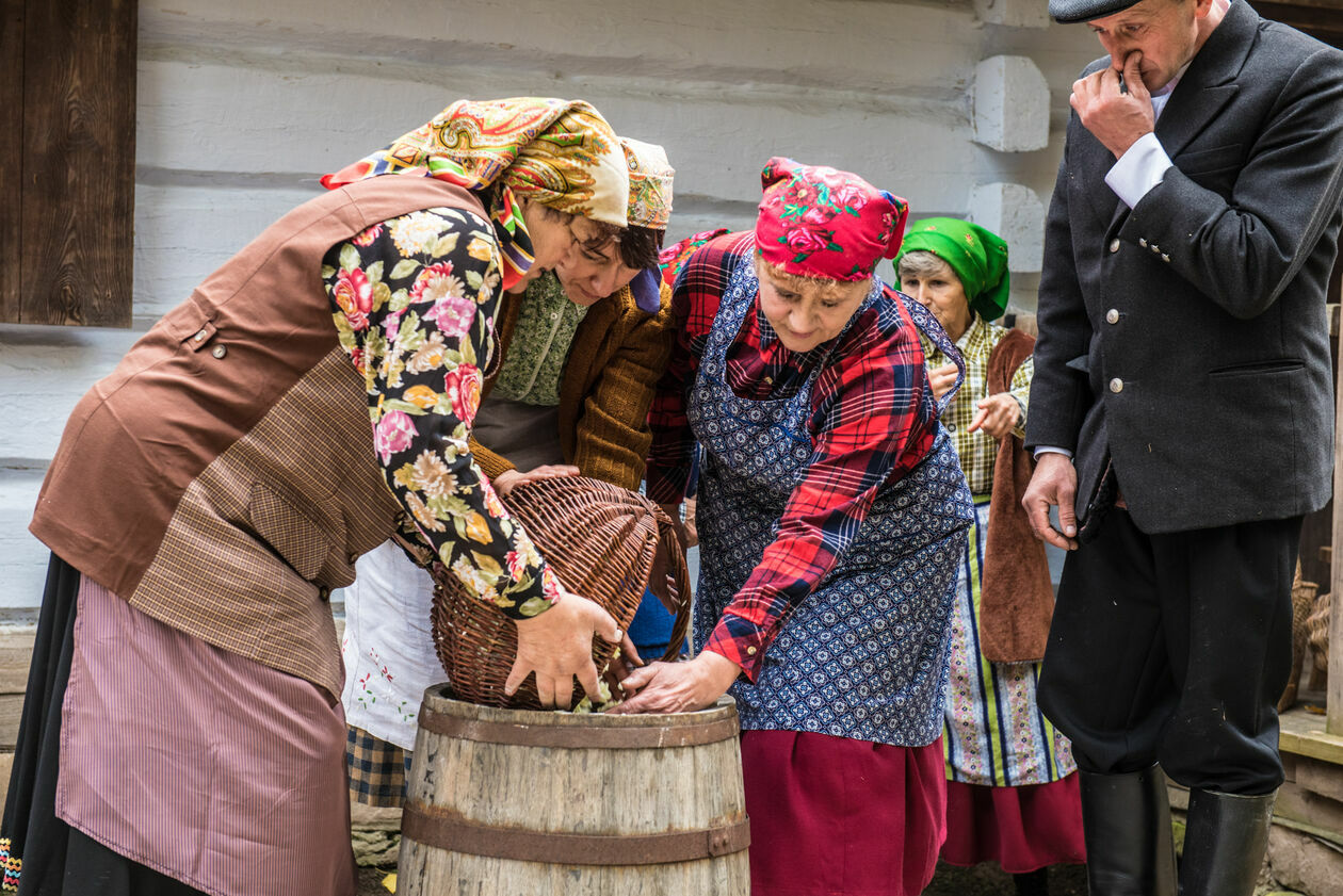  Obieraczki kapusty w Muzeum Wsi Lubelskiej (zdjęcie 60) - Autor: Tomasz Tylus