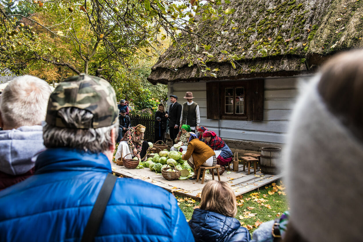  Obieraczki kapusty w Muzeum Wsi Lubelskiej (zdjęcie 44) - Autor: Tomasz Tylus