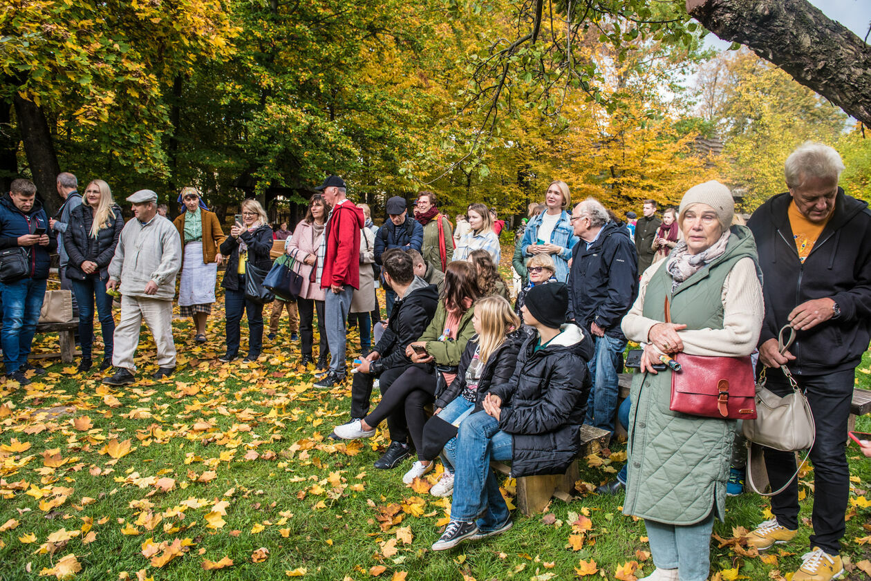  Obieraczki kapusty w Muzeum Wsi Lubelskiej (zdjęcie 38) - Autor: Tomasz Tylus