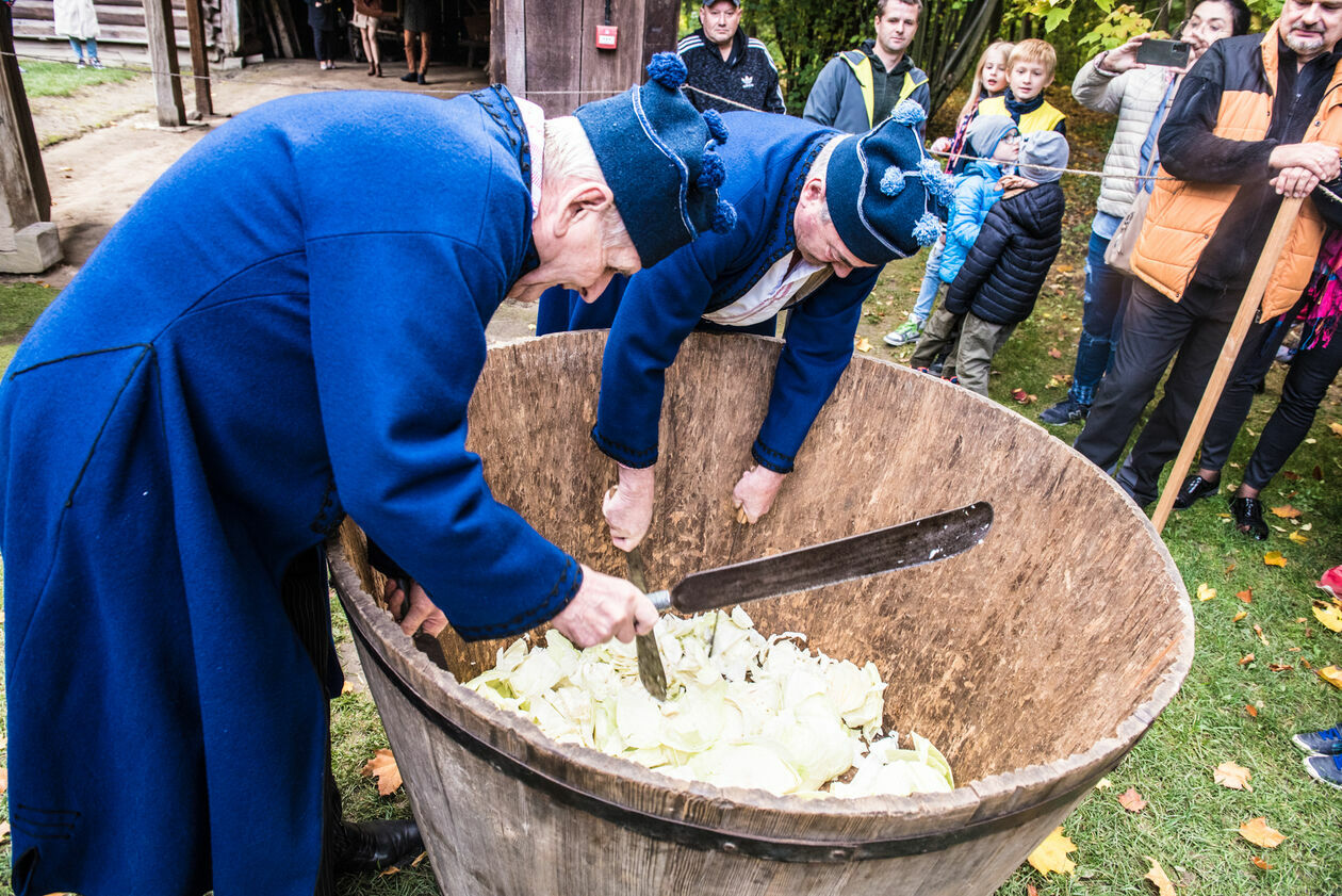  Obieraczki kapusty w Muzeum Wsi Lubelskiej (zdjęcie 46) - Autor: Tomasz Tylus