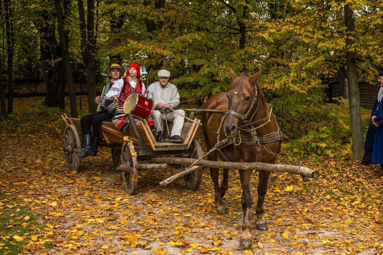  Obieraczki kapusty w Muzeum Wsi Lubelskiej (zdjęcie 31) - Autor: Tomasz Tylus