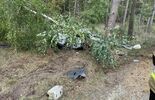 Śmiertelny wypadek w powiecie łukowskim (zdjęcie 5)