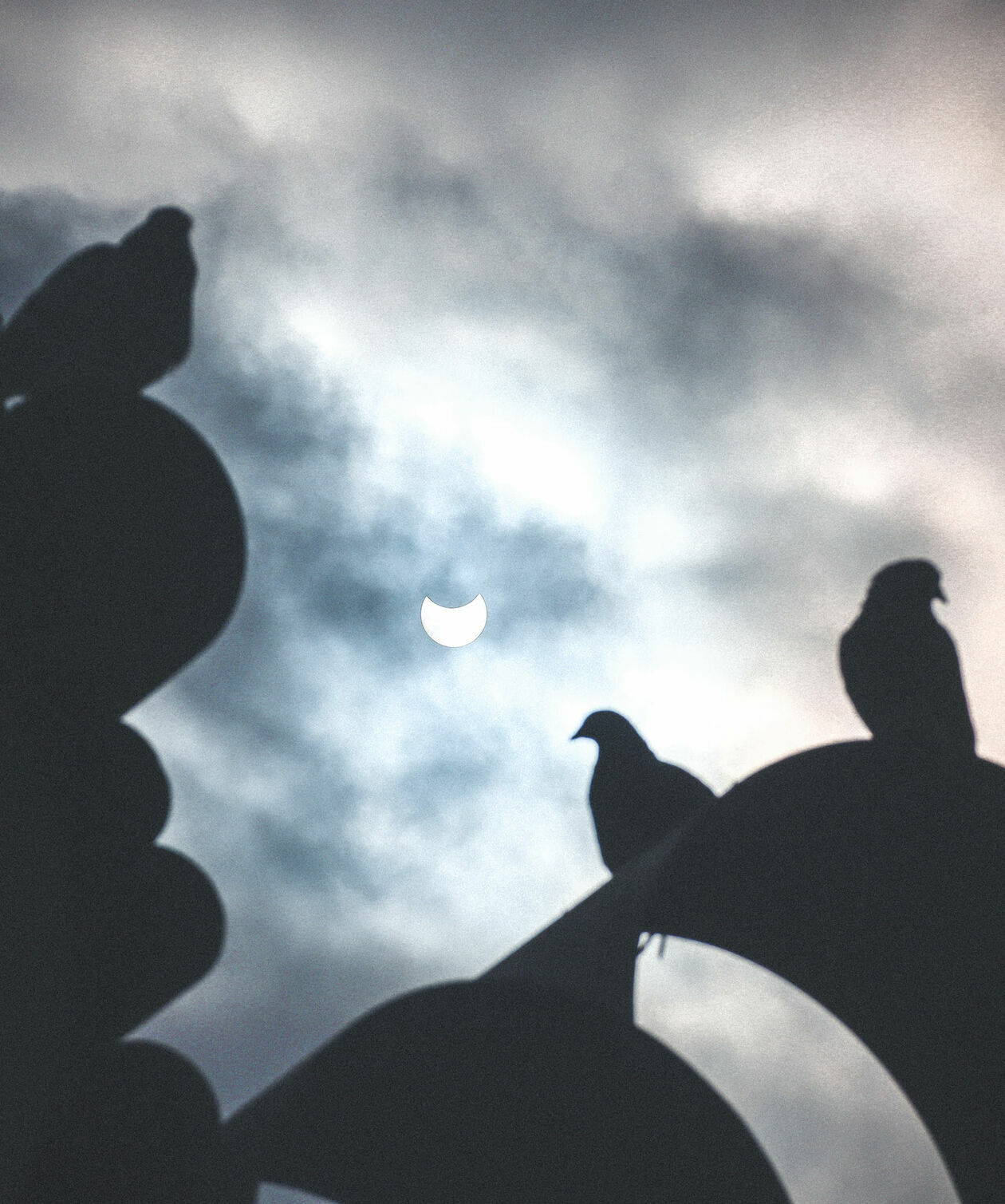  Częściowe zaćmienie Słońca na zdjęciach Czytelników Dziennika Wschodniego (zdjęcie 1) - Autor: Iza Batorska