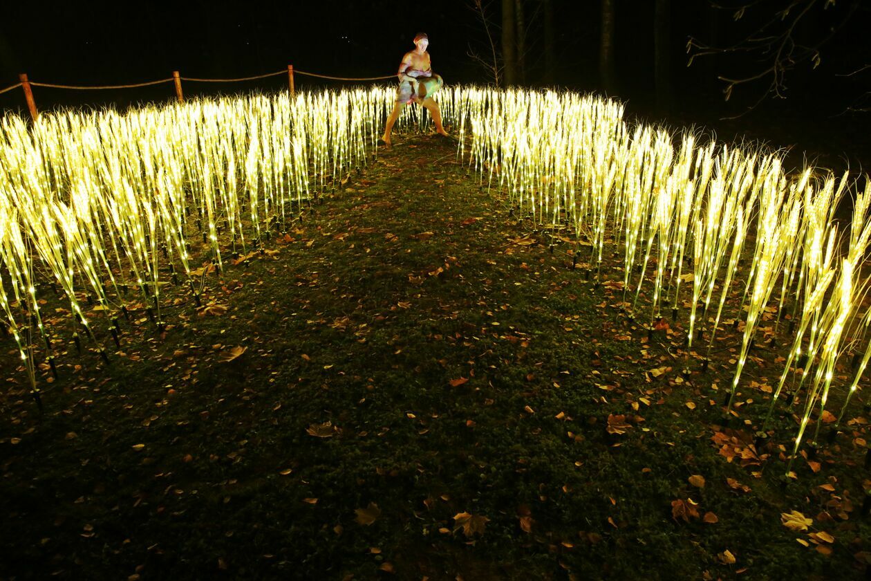  Lumina Park w Ogrodzie Botanicznym w Lublinie (zdjęcie 9) - Autor: Paweł Buczkowski