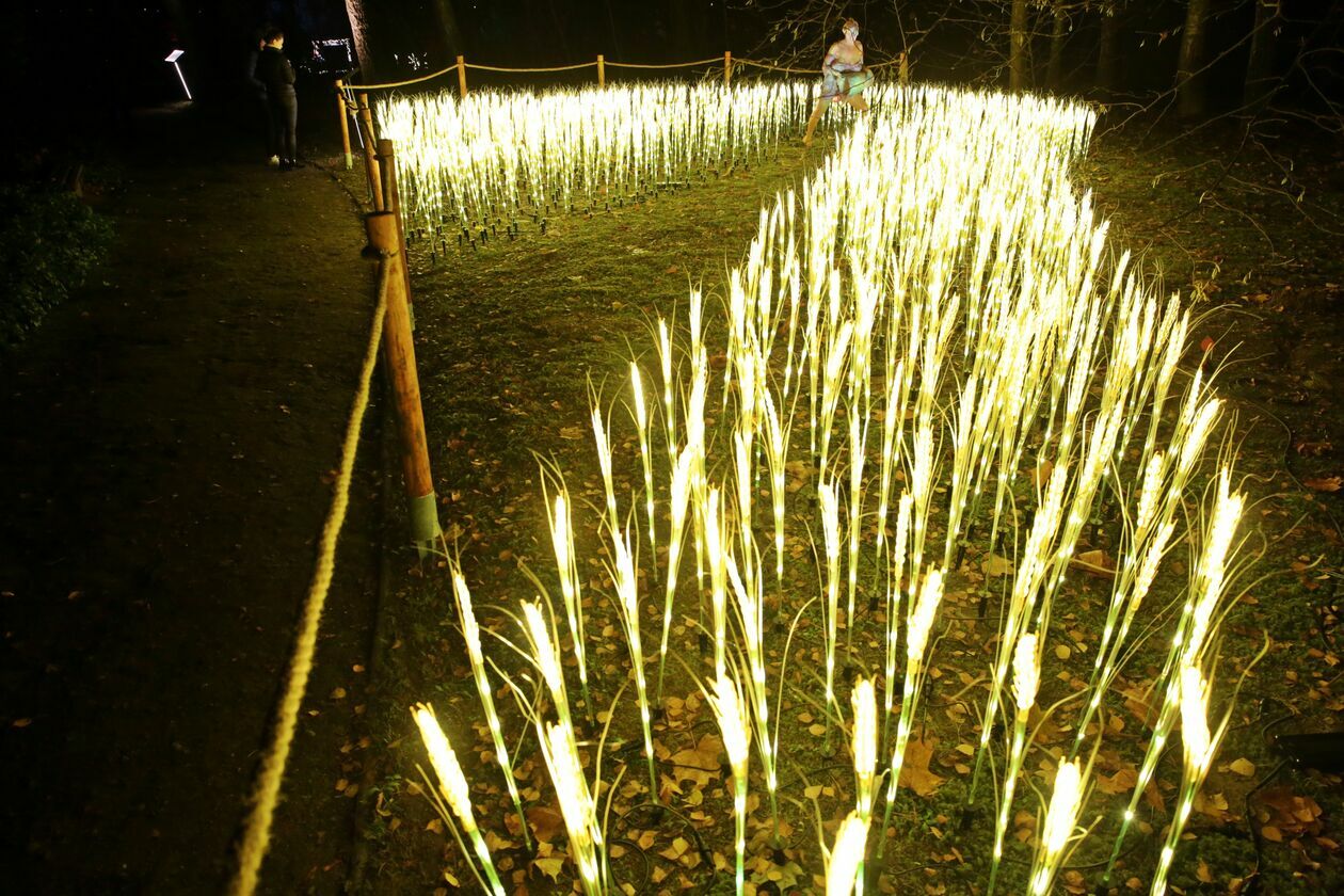  Lumina Park w Ogrodzie Botanicznym w Lublinie (zdjęcie 1) - Autor: Paweł Buczkowski