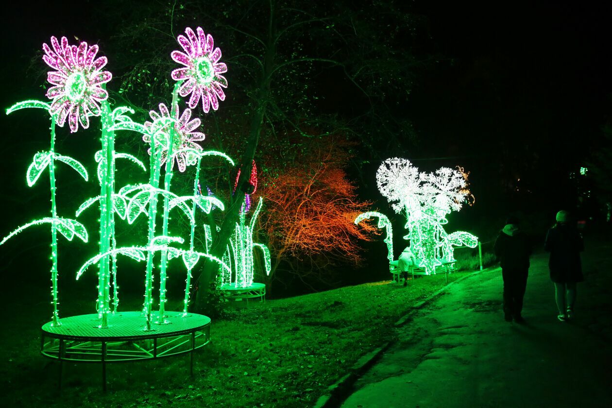  Lumina Park w Ogrodzie Botanicznym w Lublinie (zdjęcie 13) - Autor: Paweł Buczkowski