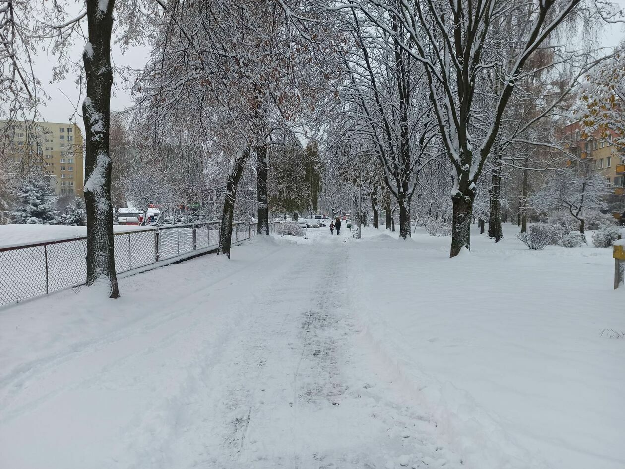  Atak zimy w Lublinie (zdjęcie 24) - Autor: Tomasz Maciuszczak