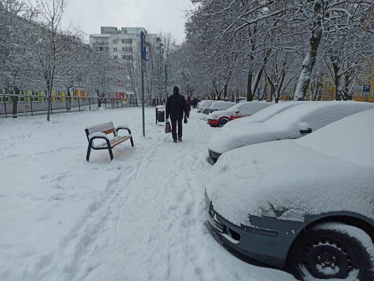  Atak zimy w Lublinie (zdjęcie 23) - Autor: Tomasz Maciuszczak