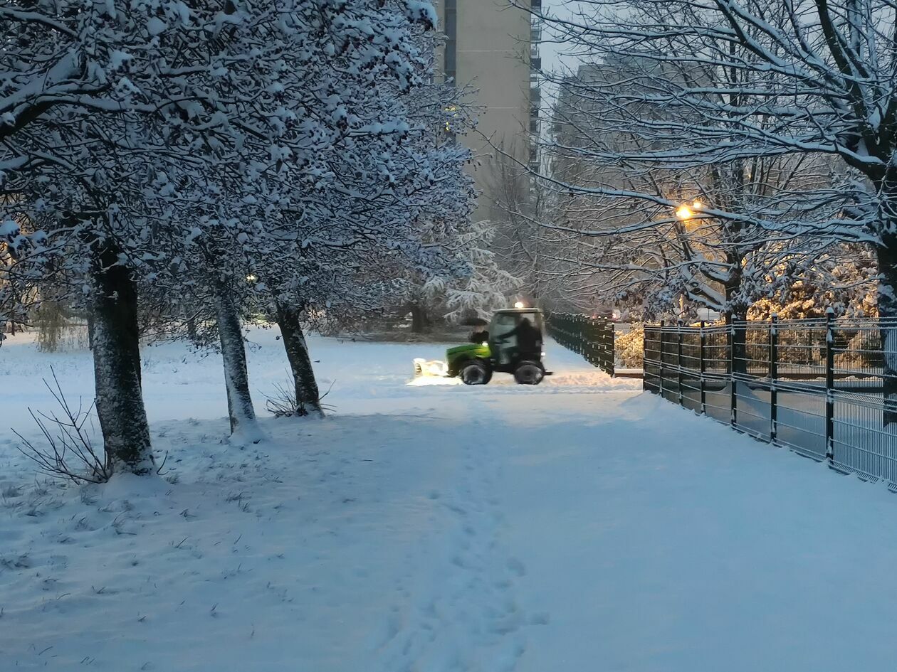  Atak zimy w Lublinie (zdjęcie 14) - Autor: Paweł Buczkowski