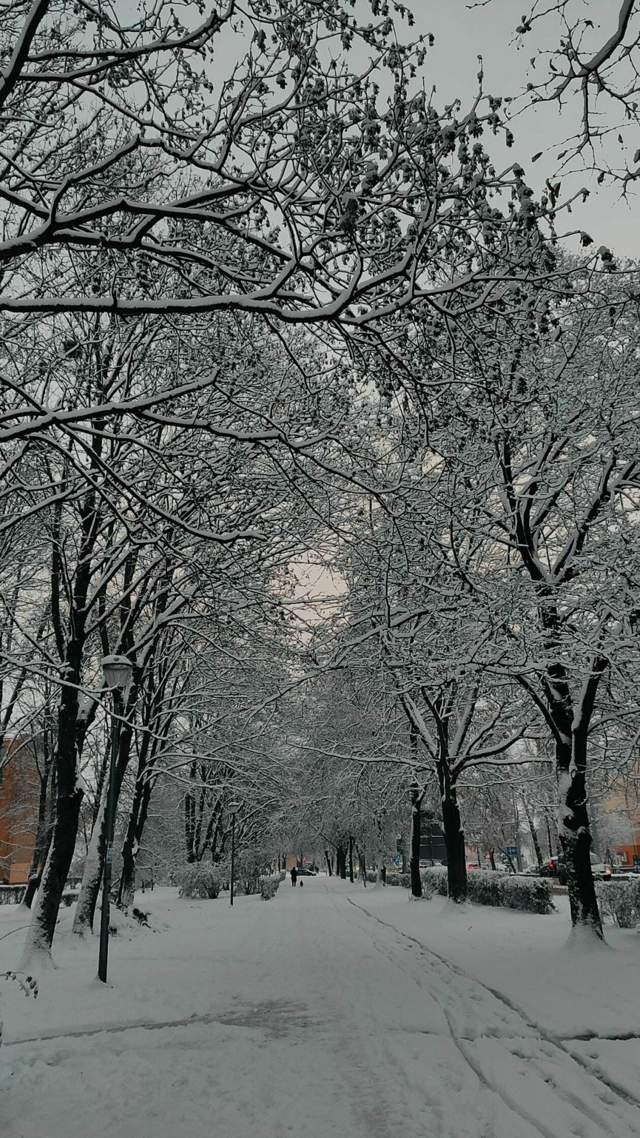 Zima w województwie lubelskim. Zdjęcia Czytelników