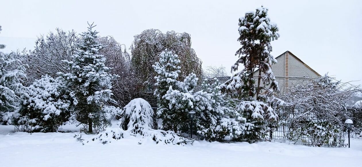 Zima w województwie lubelskim. Zdjęcia Czytelników