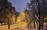 Zima w województwie lubelskim. Zdjęcia Czytelników (zdjęcie 2)