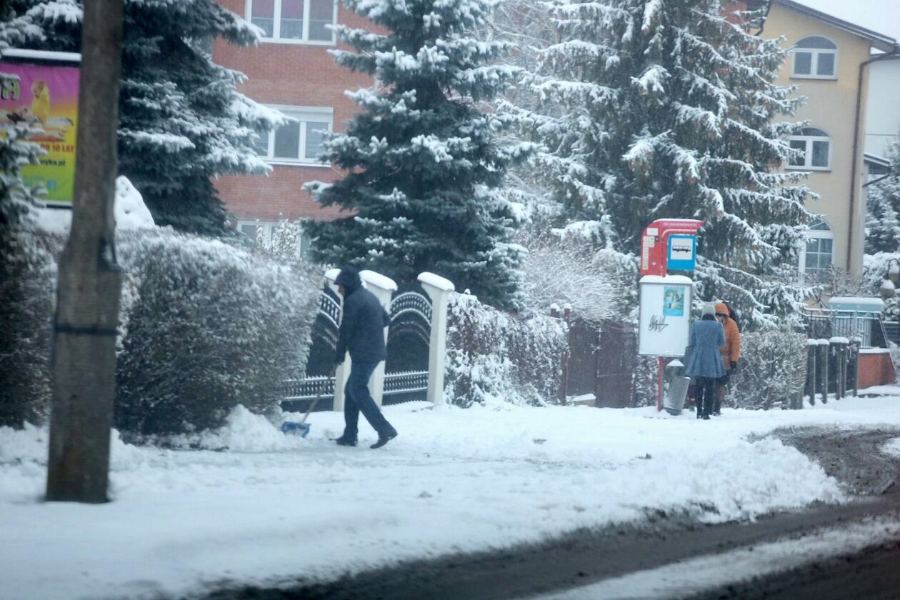 Sypnęło śniegiem w Lublinie (zdjęcie 51) - Autor: Piotr Michalski