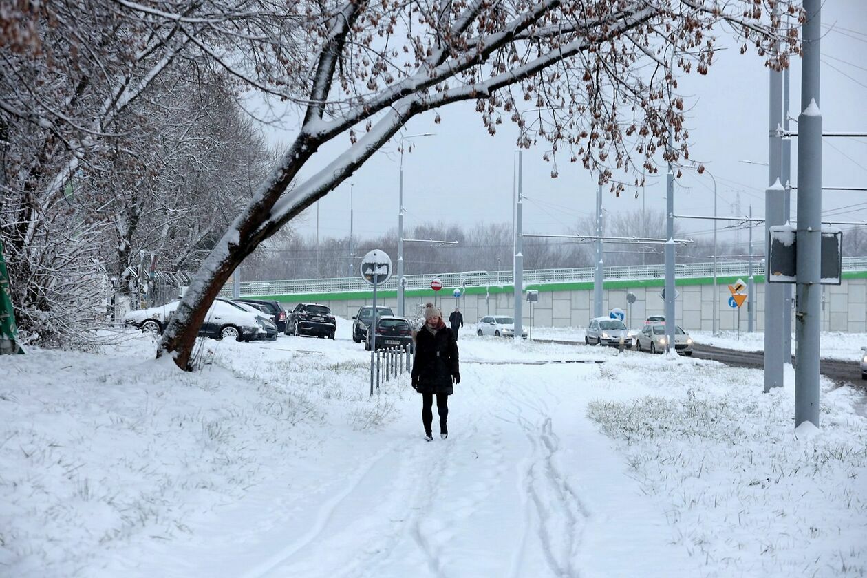 Sypnęło śniegiem w Lublinie (zdjęcie 63) - Autor: Piotr Michalski