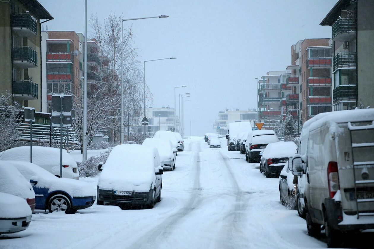  Sypnęło śniegiem w Lublinie (zdjęcie 49) - Autor: Piotr Michalski