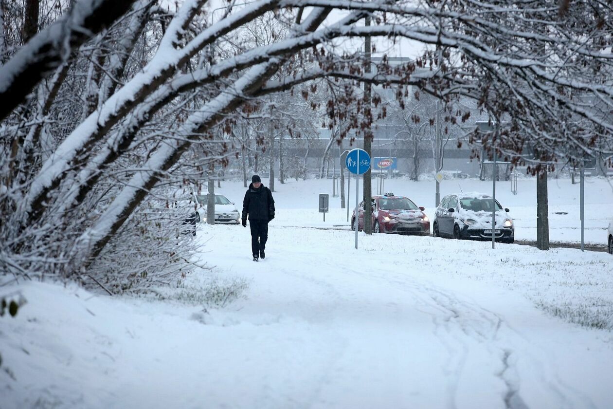  Sypnęło śniegiem w Lublinie (zdjęcie 66) - Autor: Piotr Michalski