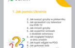 Najpopularniejsze hasła w Google w 2022 roku (zdjęcie 4)