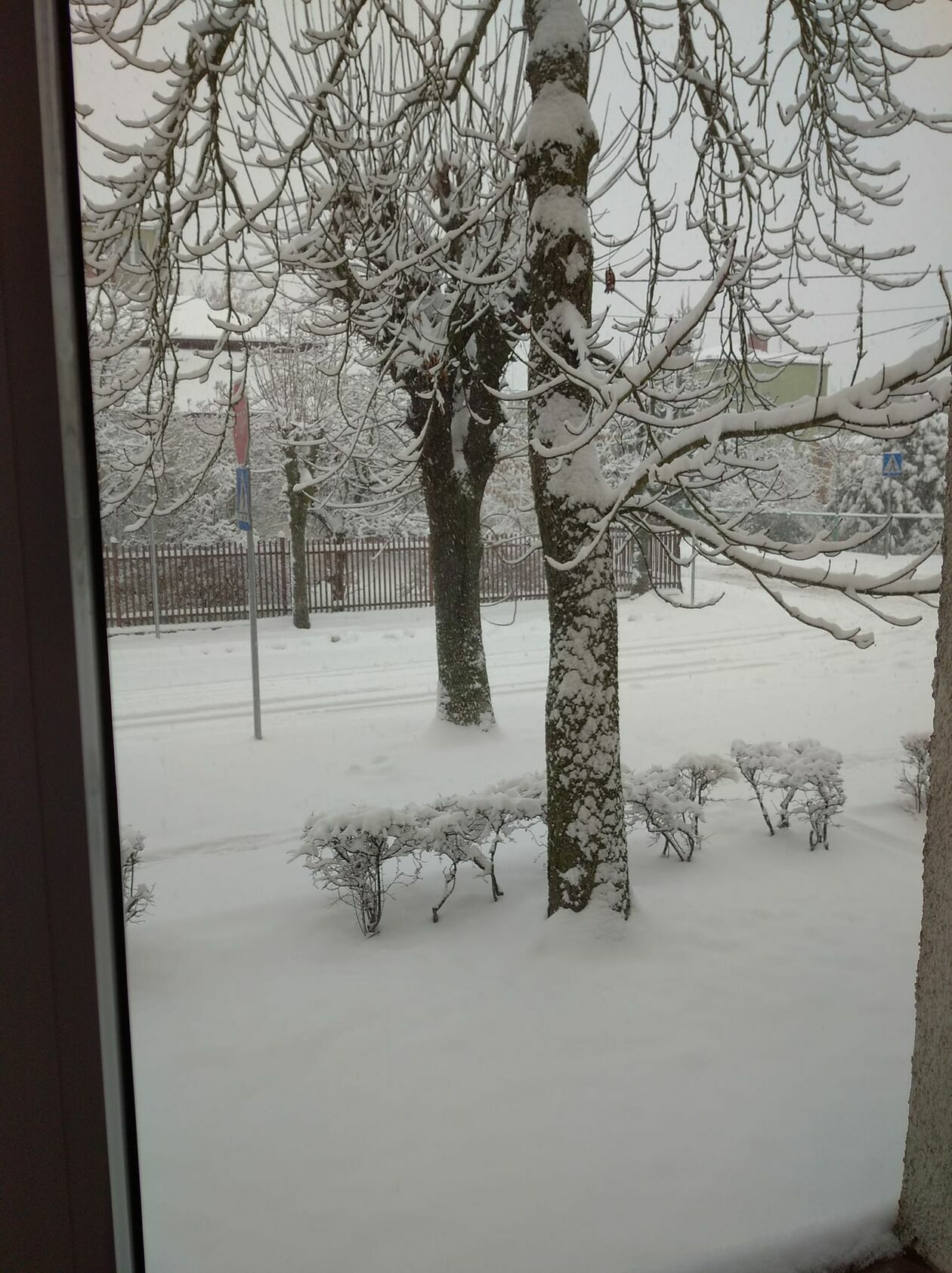  Zima w Lubelskiem. Zdjęcia czytelników (zdjęcie 23) - Autor: czytelnicy