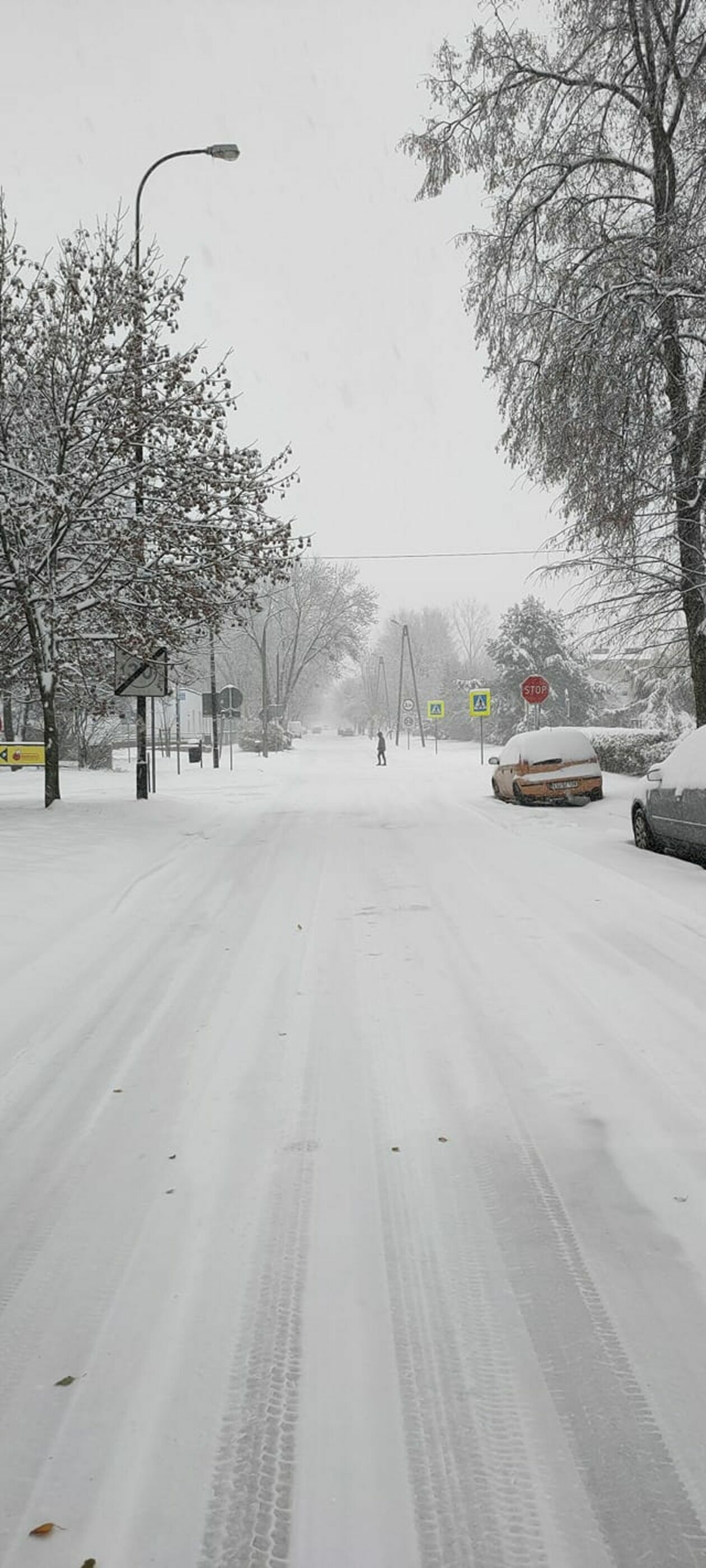  Zima w Lubelskiem. Zdjęcia czytelników (zdjęcie 16) - Autor: czytelnicy