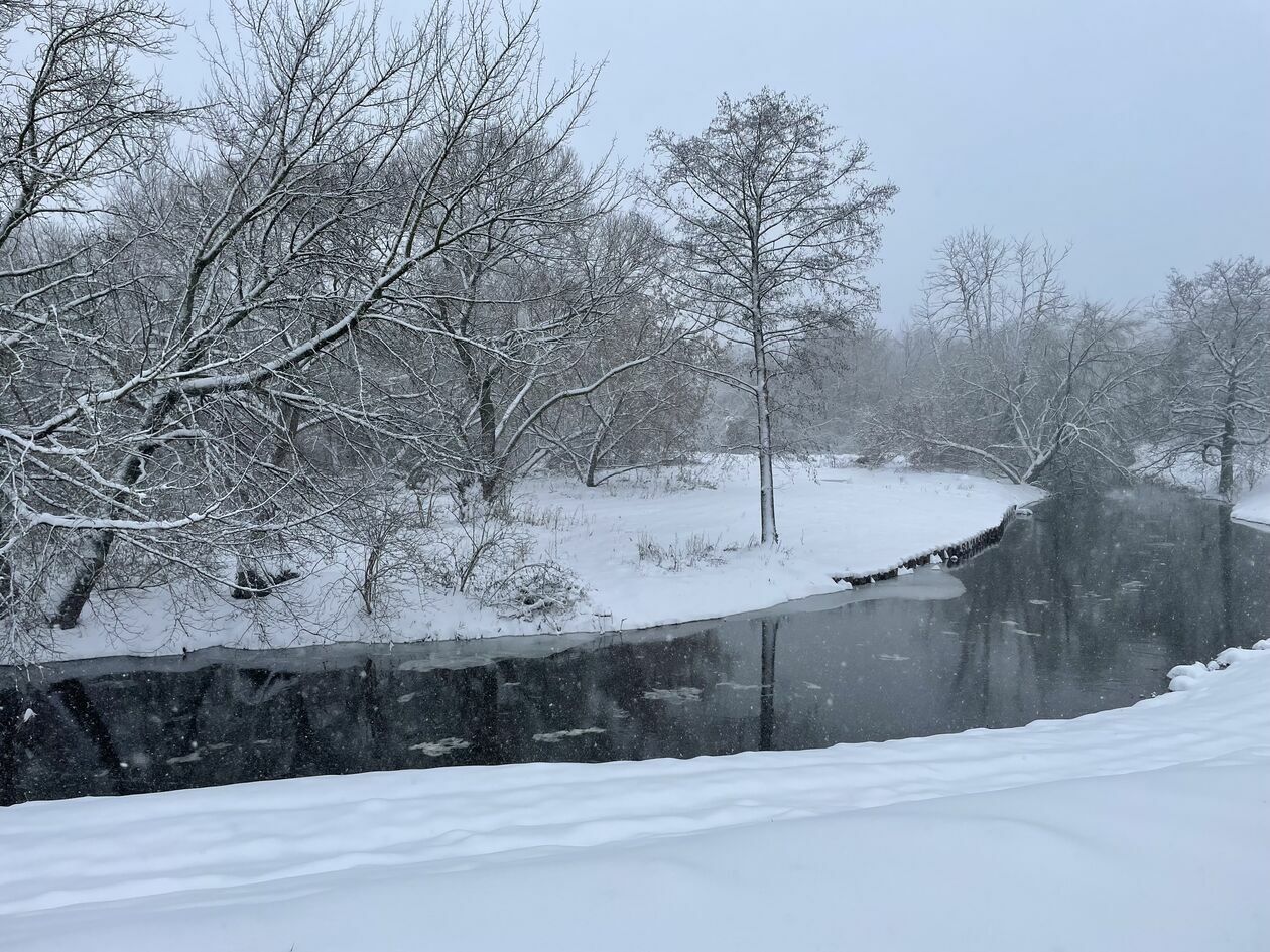  Zima w Lubelskiem. Zdjęcia czytelników (zdjęcie 12) - Autor: czytelnicy