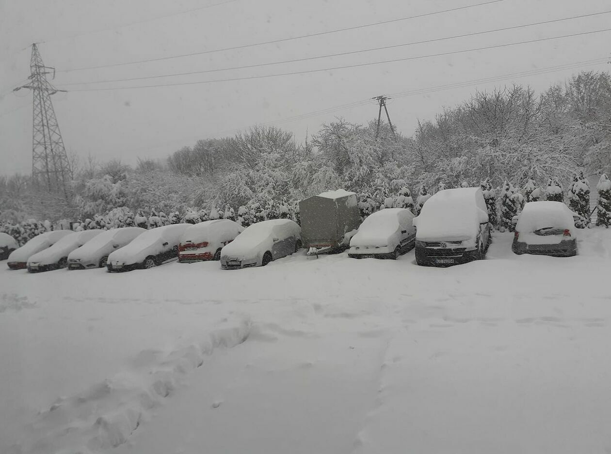  Zima w Lubelskiem. Zdjęcia czytelników (zdjęcie 15) - Autor: czytelnicy