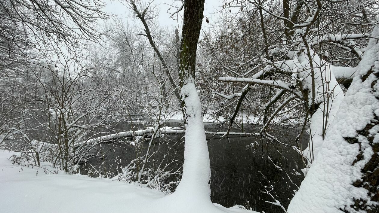  Zima w Lubelskiem. Zdjęcia czytelników (zdjęcie 5) - Autor: czytelnicy