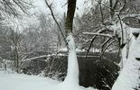 Zima w Lubelskiem. Zdjęcia czytelników (zdjęcie 5)