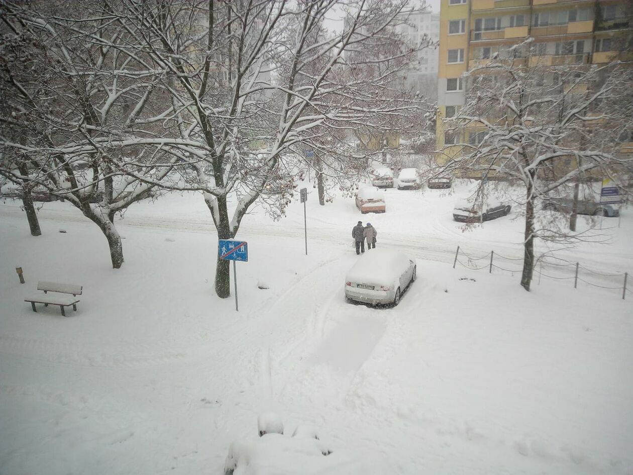 Zima w Lubelskiem. Zdjęcia czytelników (zdjęcie 18) - Autor: czytelnicy