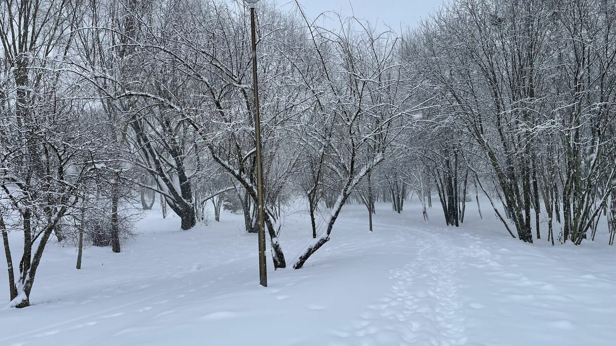  Zima w Lubelskiem. Zdjęcia czytelników (zdjęcie 7) - Autor: czytelnicy