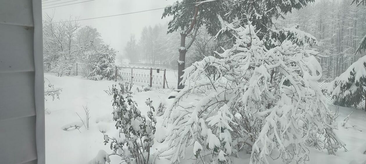  Zima w Lubelskiem. Zdjęcia czytelników (zdjęcie 21) - Autor: czytelnicy