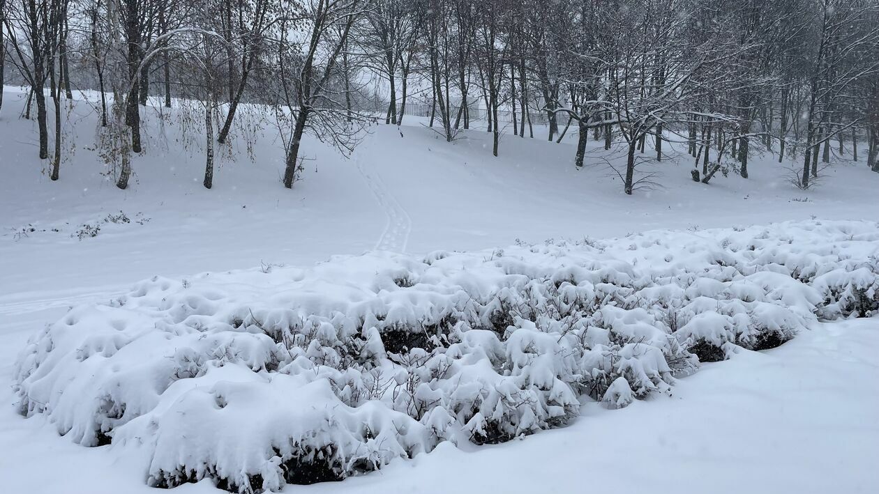 Zima w Lubelskiem. Zdjęcia czytelników (zdjęcie 8) - Autor: czytelnicy