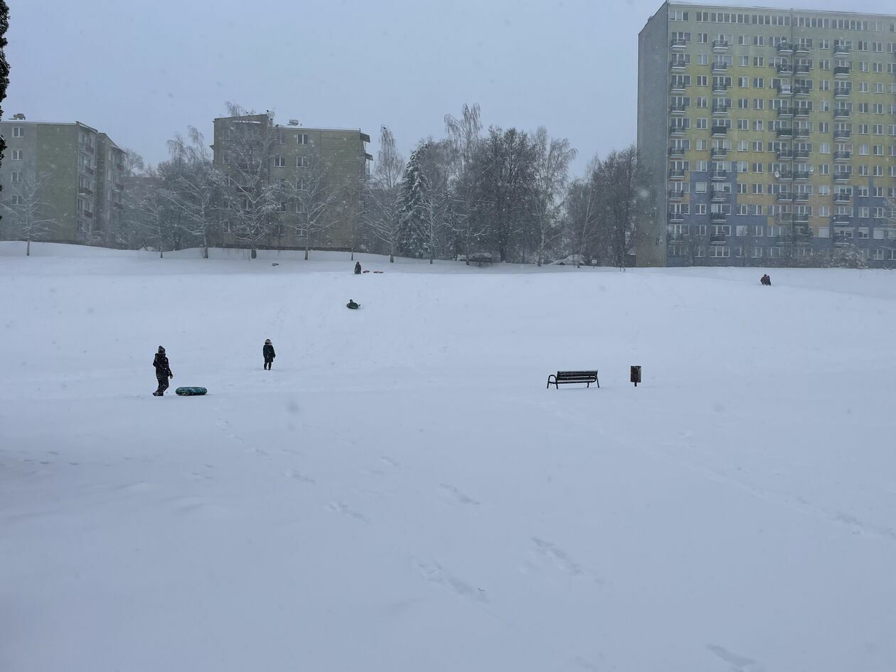  Zima w Lubelskiem. Zdjęcia czytelników (zdjęcie 10) - Autor: czytelnicy