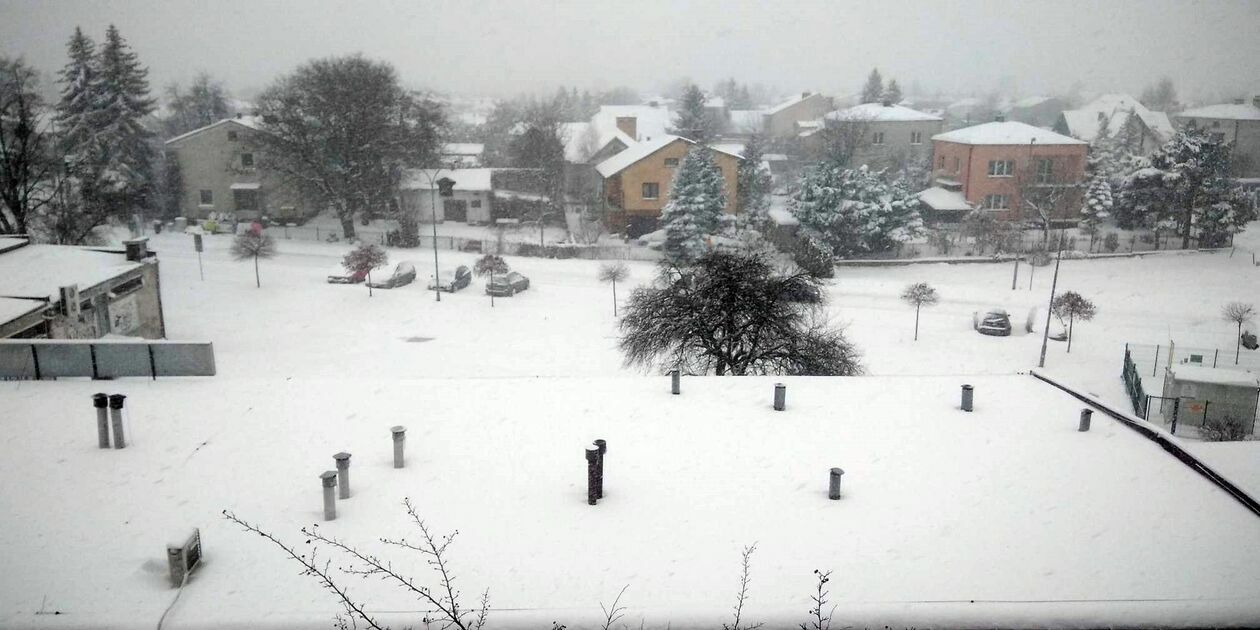  Zima w Lubelskiem. Zdjęcia czytelników (zdjęcie 19) - Autor: czytelnicy