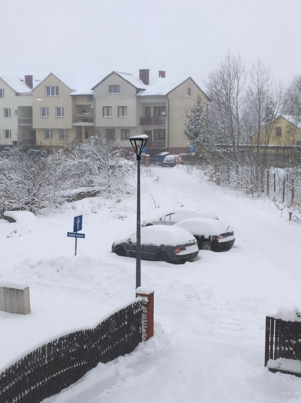  Zima w Lubelskiem. Zdjęcia czytelników (zdjęcie 22) - Autor: czytelnicy