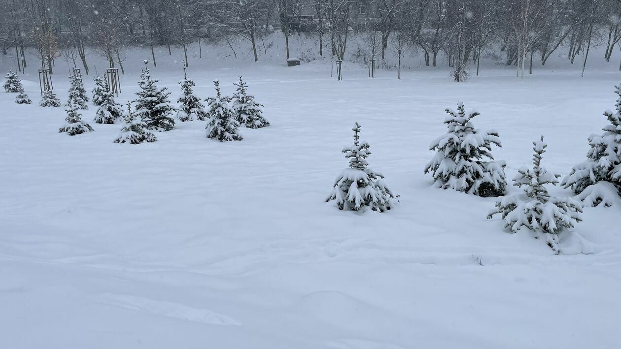  Zima w Lubelskiem. Zdjęcia czytelników (zdjęcie 9) - Autor: czytelnicy