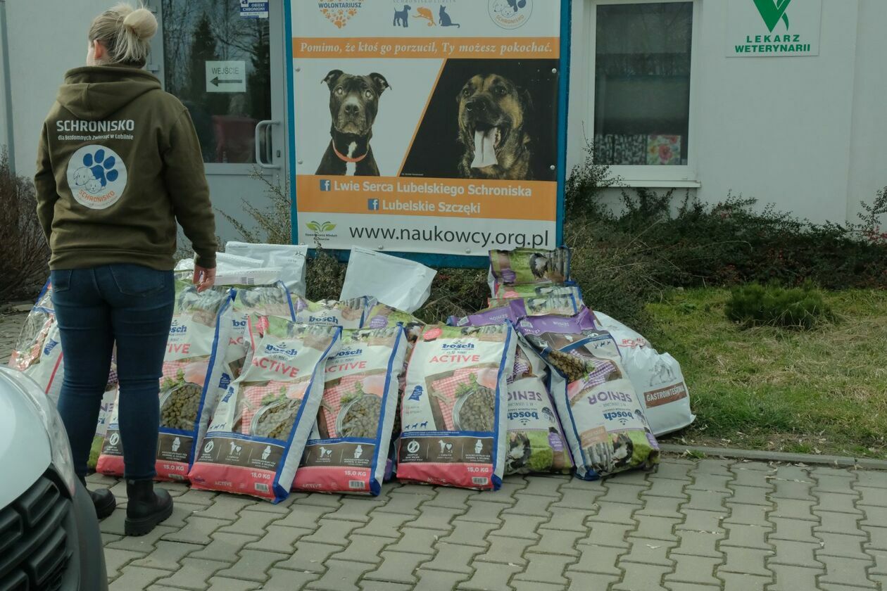  Dzień otwarty w Schronisku dla Bezdomnych Zwierząt w Lublinie (zdjęcie 7) - Autor: DW
