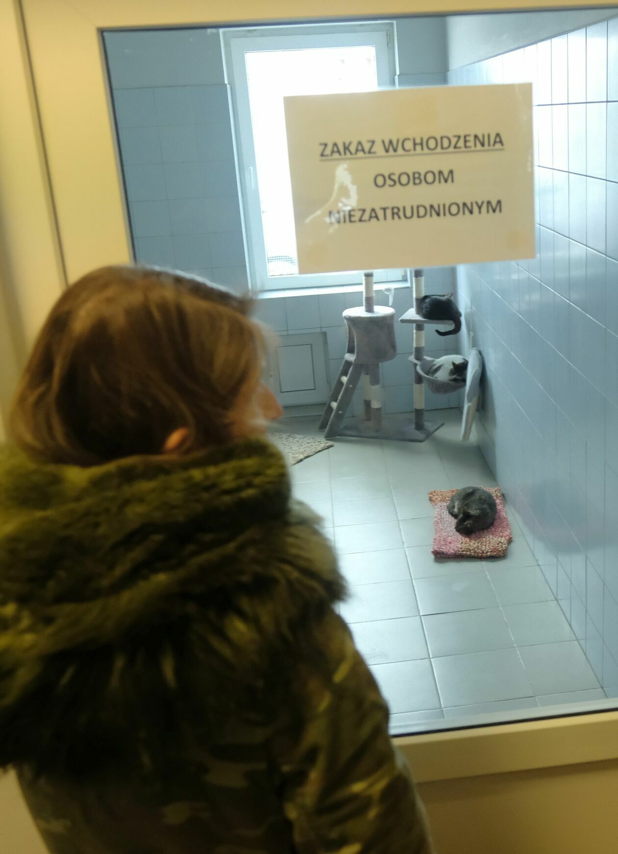  Dzień otwarty w Schronisku dla Bezdomnych Zwierząt w Lublinie (zdjęcie 13) - Autor: DW