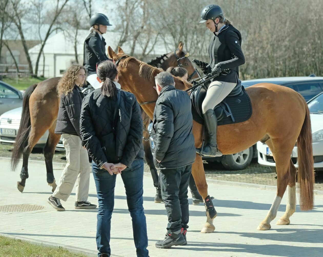 Halowe mistrzostwa województwa lubelskiego w skokach przez przeszkody