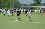 DKS Gaudium Zamość na Bielik Cup 2023 (zdjęcie 3)