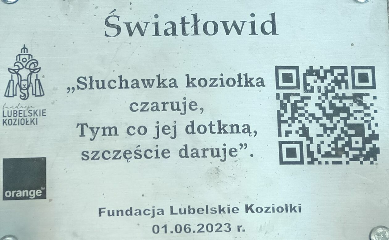  Jest koziołek nr 6 w Lublinie  - Autor: DW