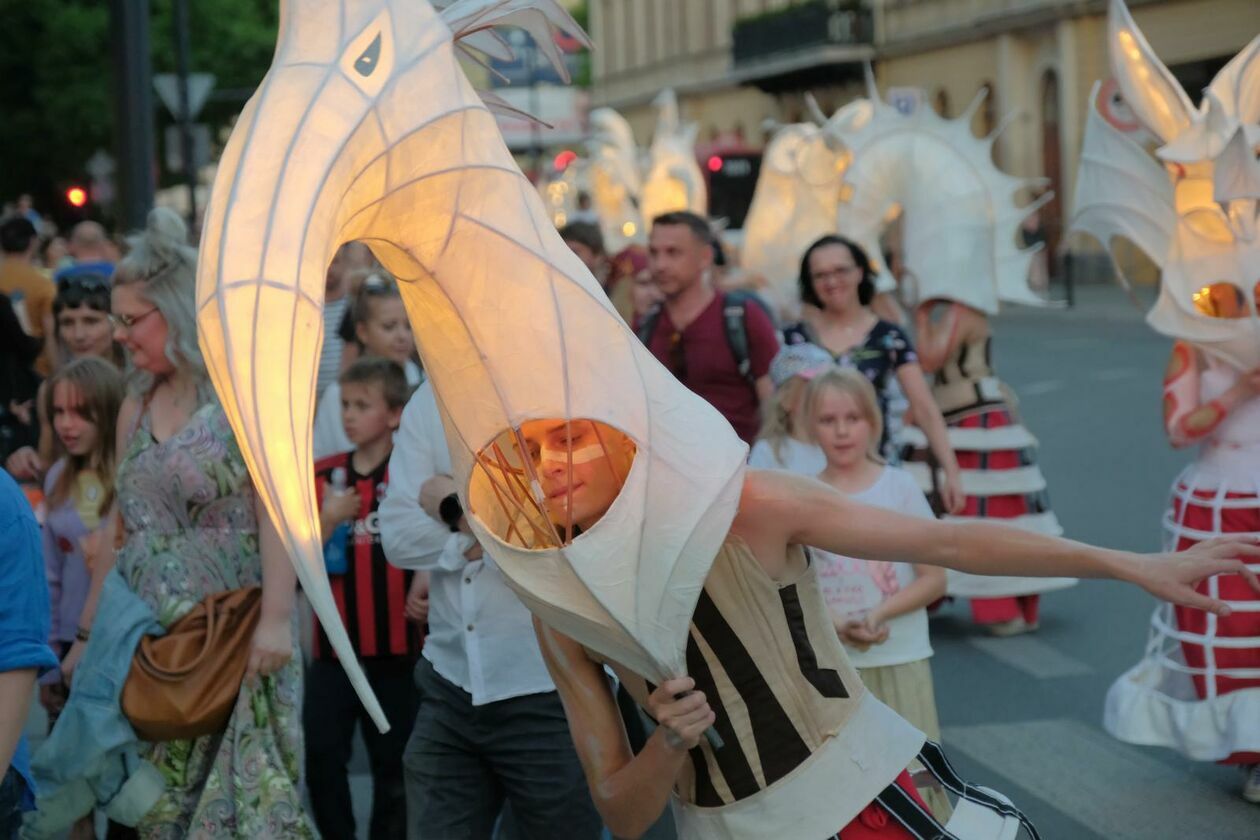  Świetlny korowód rozpoczął Międzynarodowy Festiwal Literatury i Rozwoju Dzieci Alfabet  (zdjęcie 21) - Autor: DW