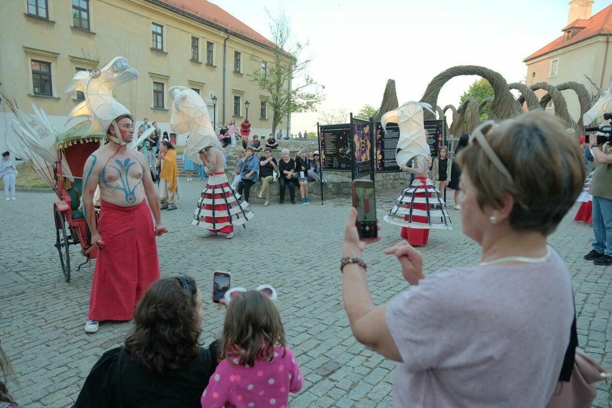  Świetlny korowód rozpoczął Międzynarodowy Festiwal Literatury i Rozwoju Dzieci Alfabet  (zdjęcie 4) - Autor: DW