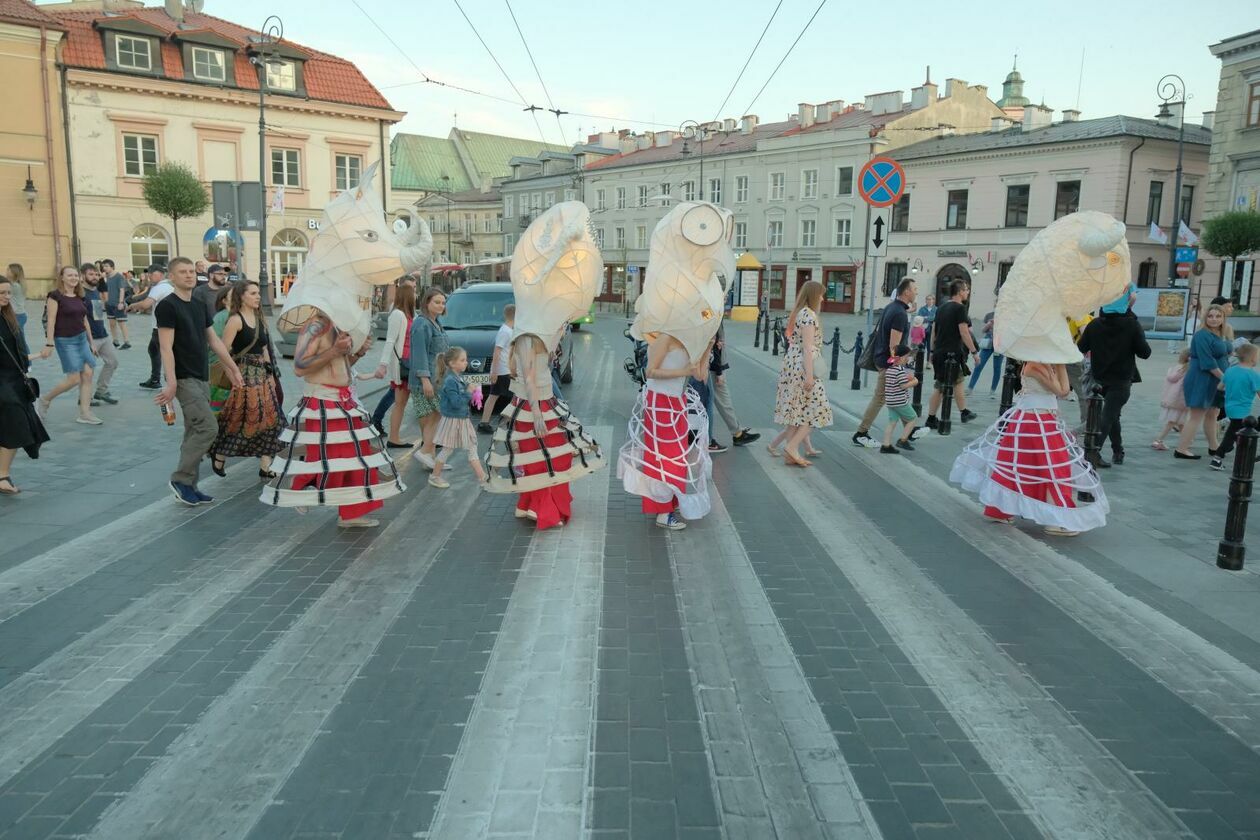  Świetlny korowód rozpoczął Międzynarodowy Festiwal Literatury i Rozwoju Dzieci Alfabet  (zdjęcie 17) - Autor: DW