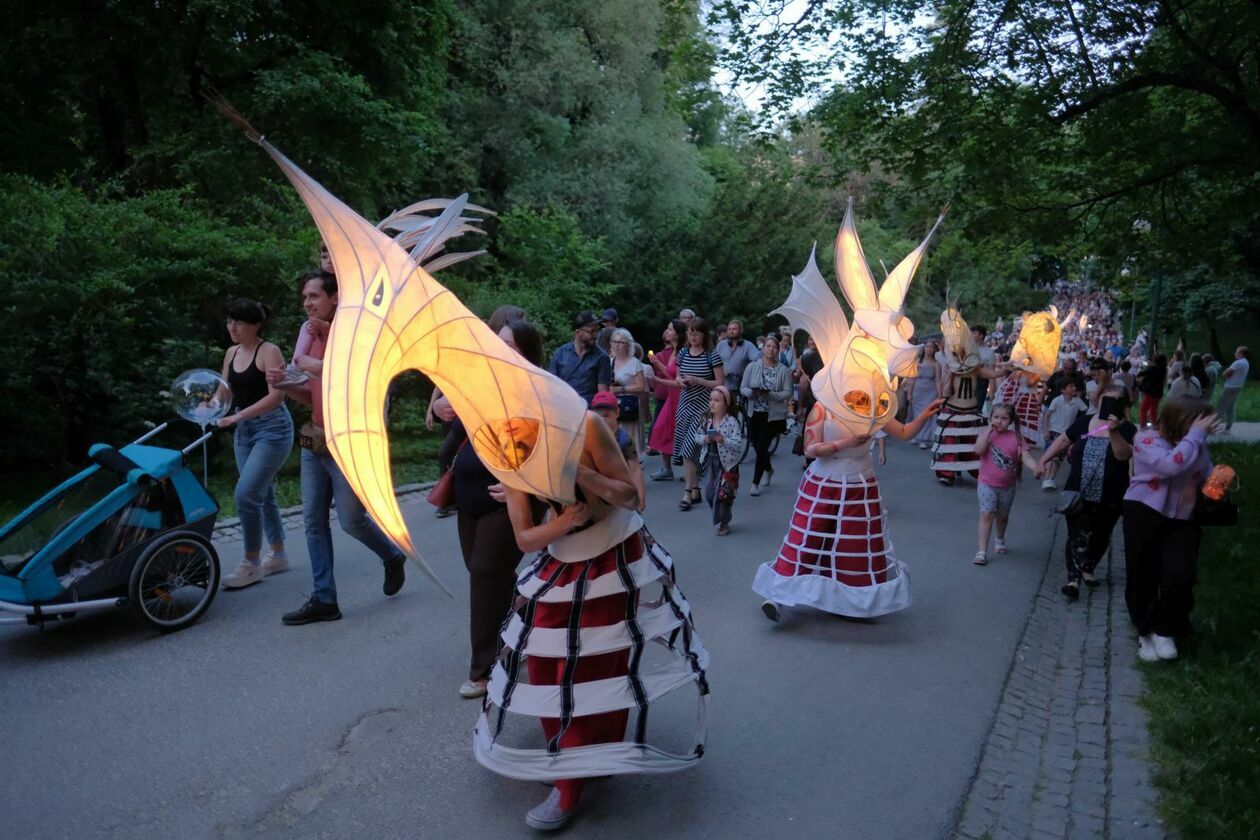  Świetlny korowód rozpoczął Międzynarodowy Festiwal Literatury i Rozwoju Dzieci Alfabet  (zdjęcie 23) - Autor: DW