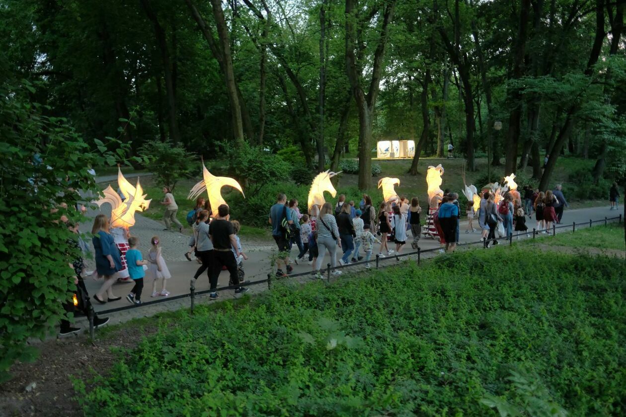  Świetlny korowód rozpoczął Międzynarodowy Festiwal Literatury i Rozwoju Dzieci Alfabet  (zdjęcie 28) - Autor: DW