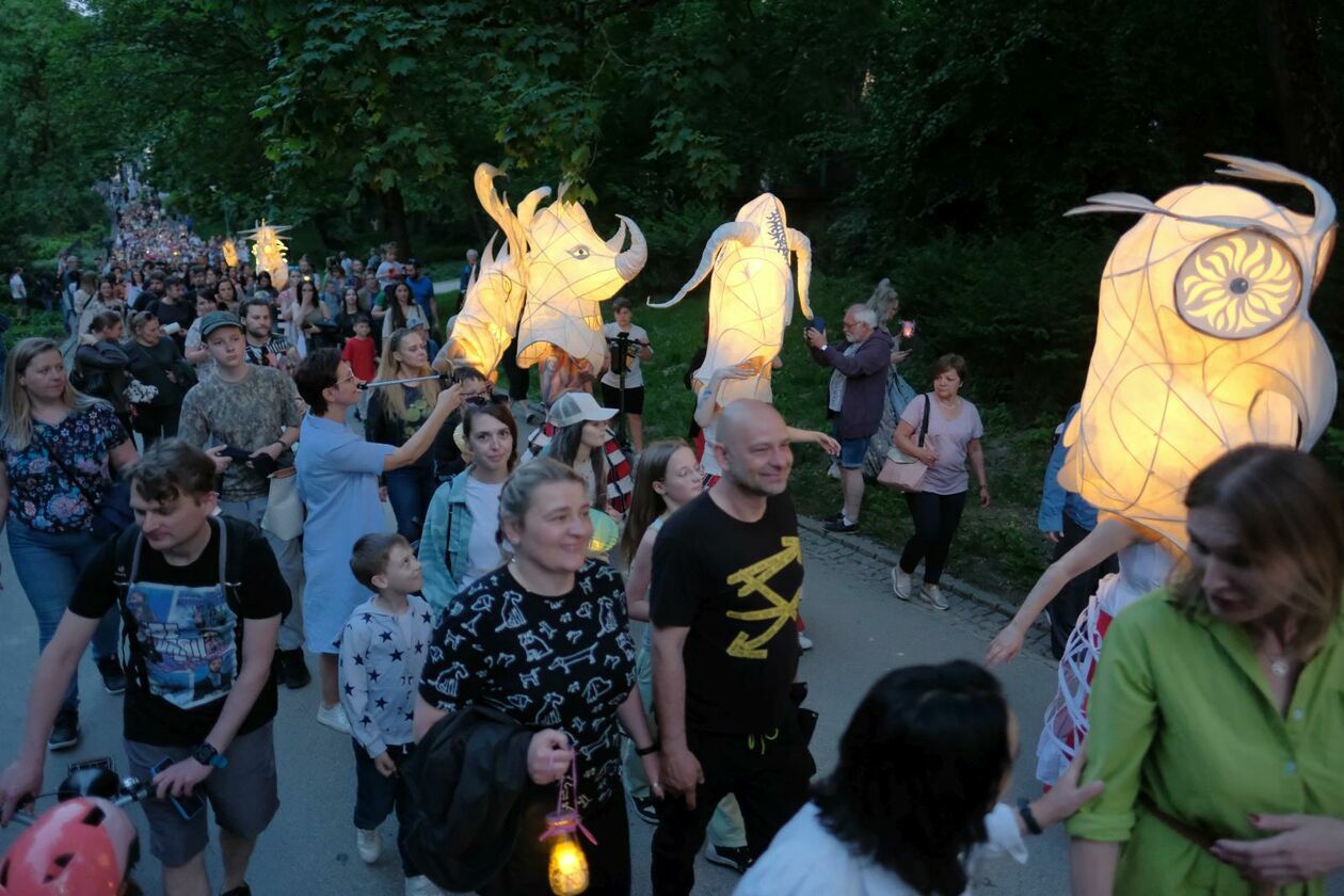  Świetlny korowód rozpoczął Międzynarodowy Festiwal Literatury i Rozwoju Dzieci Alfabet  (zdjęcie 25) - Autor: DW