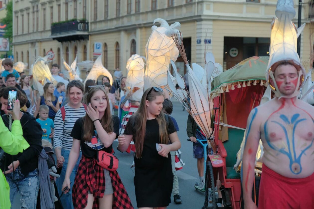  Świetlny korowód rozpoczął Międzynarodowy Festiwal Literatury i Rozwoju Dzieci Alfabet  (zdjęcie 20) - Autor: DW