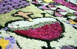 Kwiatowy dywan w Parafii Św. Kingii w Świdniku  (zdjęcie 4)