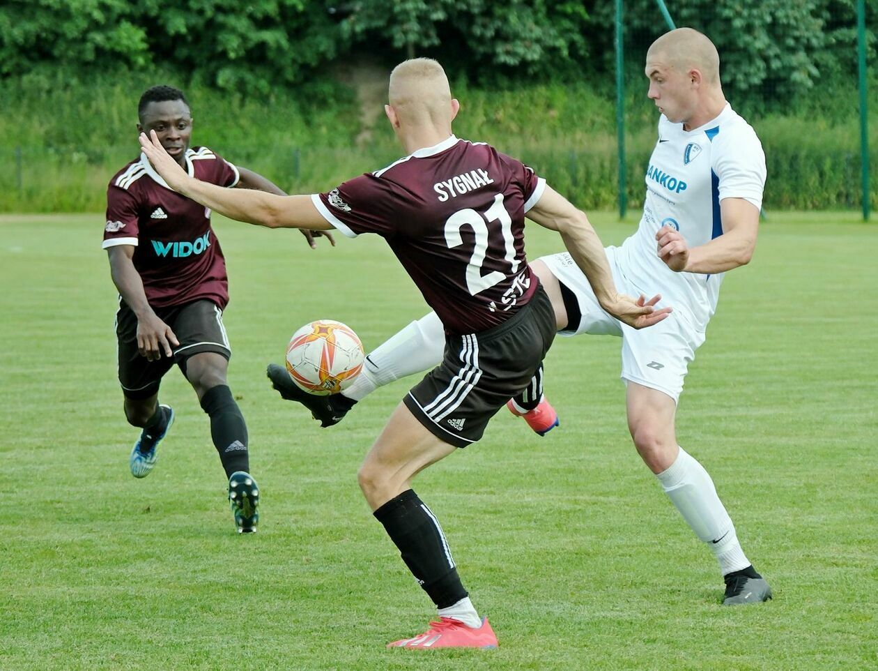  Sygnał Lublin vs Janowianka Janów Lubelski (zdjęcie 29) - Autor: DW